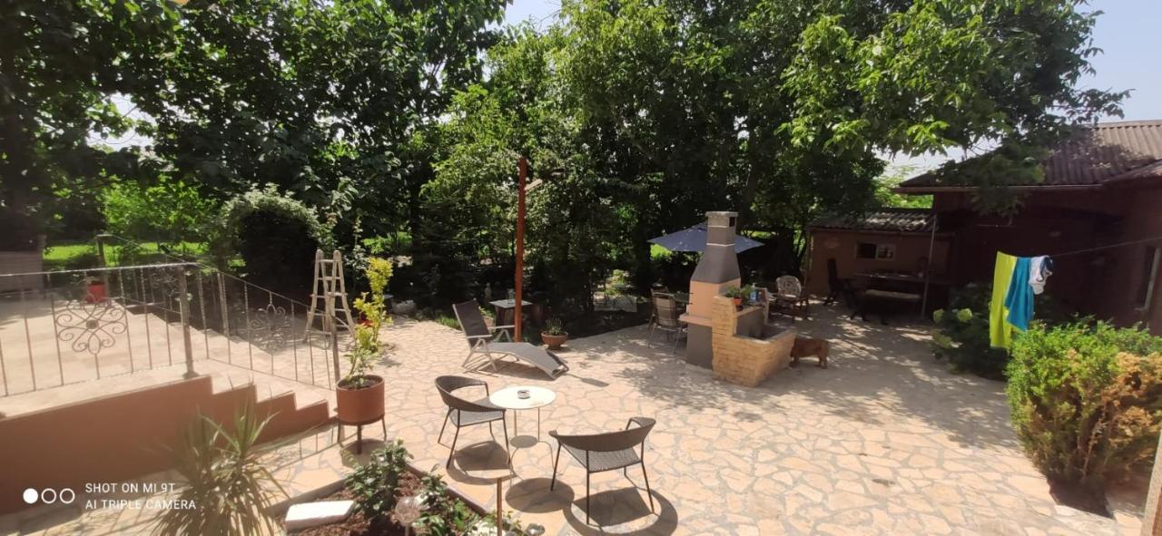 Casa Magnolia Hotel Douazeci si Trei August Ngoại thất bức ảnh