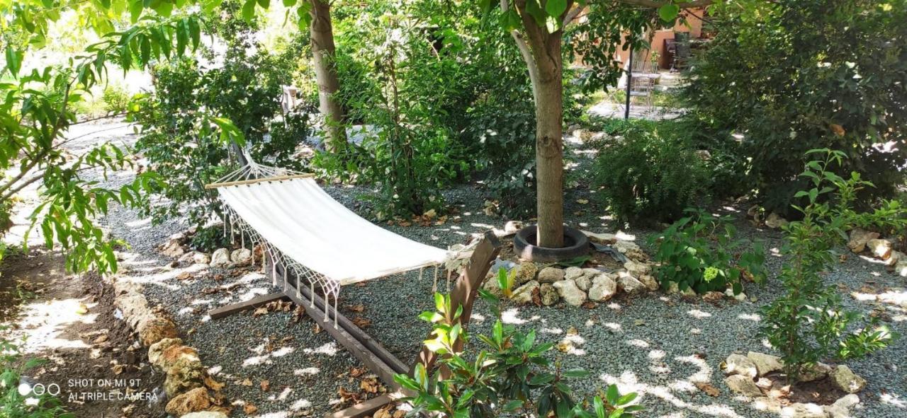 Casa Magnolia Hotel Douazeci si Trei August Ngoại thất bức ảnh