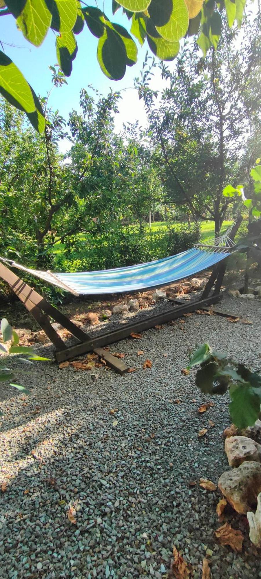 Casa Magnolia Hotel Douazeci si Trei August Ngoại thất bức ảnh